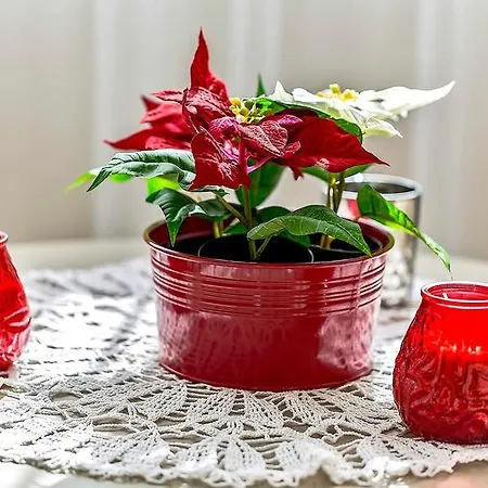 Doble Playa プラヤ・パライソ