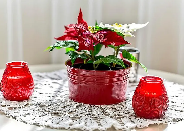 Doble Playa بلايا بارايسو